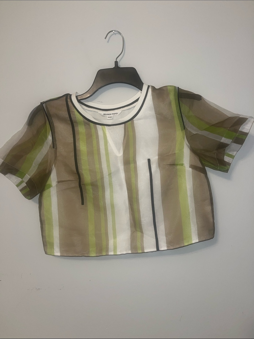Mixed Stripe Sheer Crop Top - Green/White